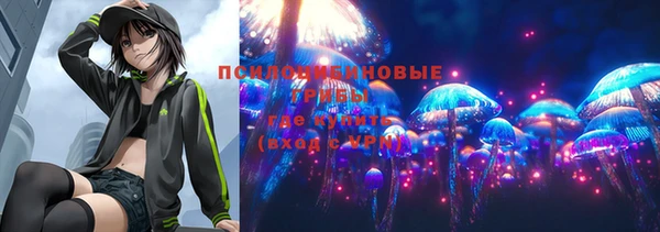 СК Верея