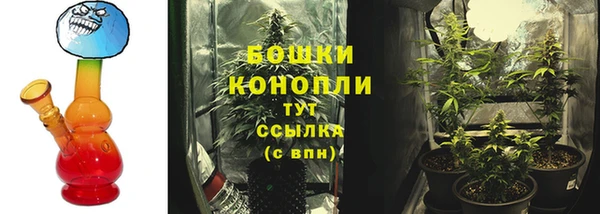 СК Верея