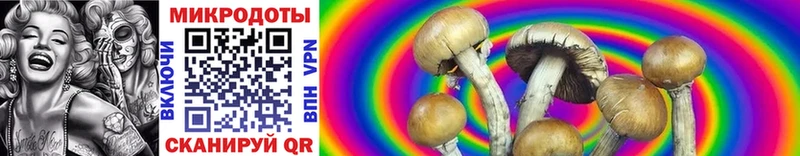 Галлюциногенные грибы MAGIC MUSHROOMS Купить Богородицк